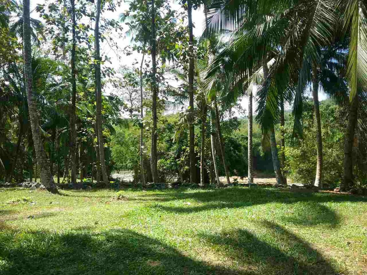 Nature'S Hideout Holiday Home Mirigama Exterior photo